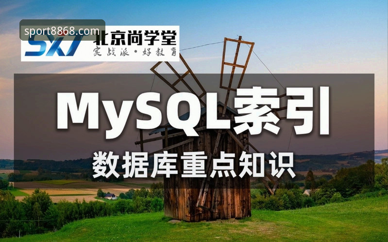 8868体育官方入口安全评估完整指南：从数据验证到实战体验